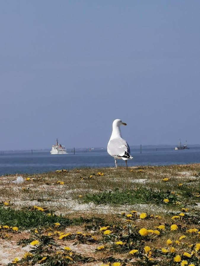 KleinAberFein an der Nordseeküste Schweindorf Exterior foto
